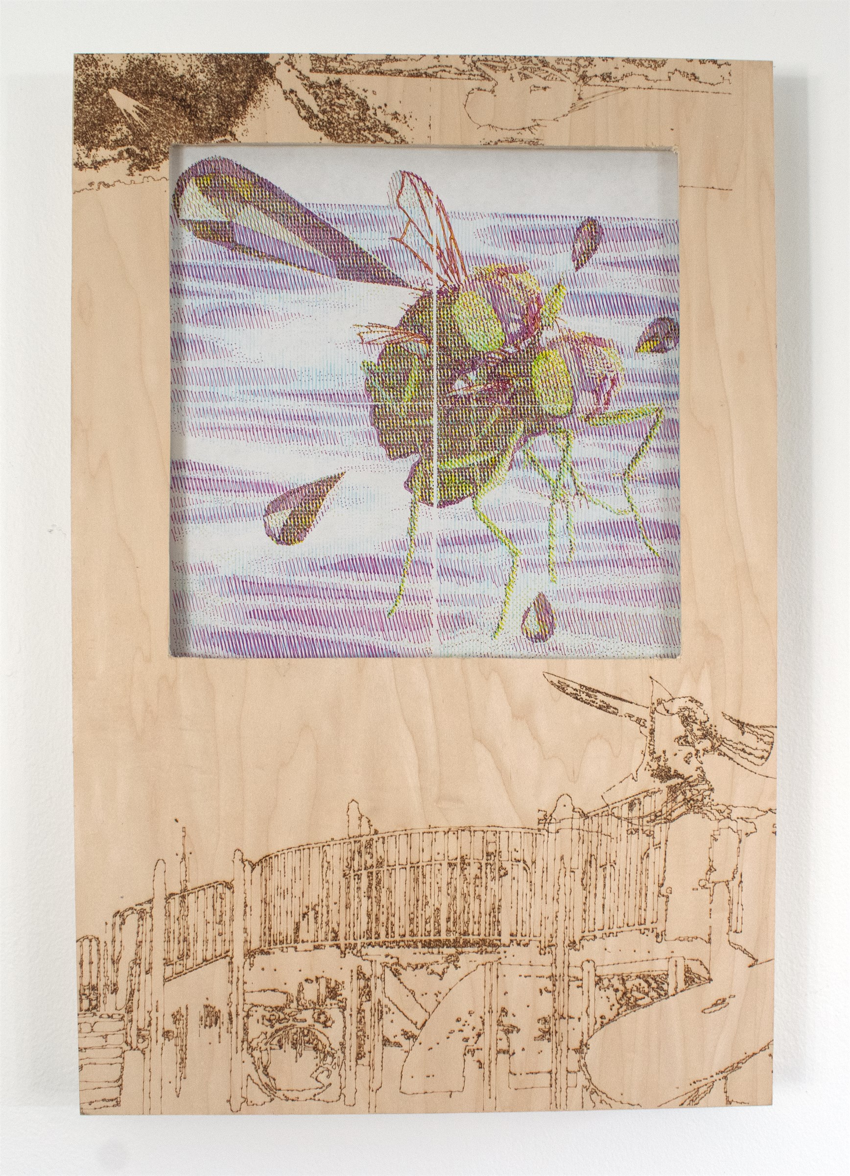 Fly drawing framed in plywood