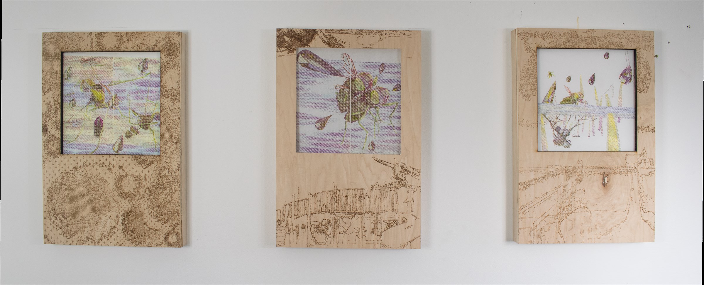 Three plywood framed fly drawings